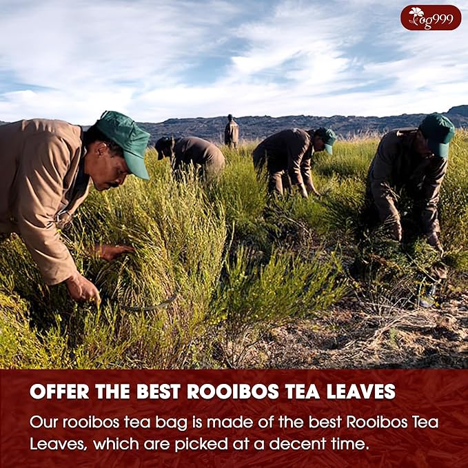 TOG999, Premium 60 Red Rooibos Tea Bags, 100% Natural & Pure from Rooibos Tea Leaves. Loose Leaf Rooibos Herbal Tea. Made with Natural Material Tea Bags. No Sugar, No Caffeine, No Gluten, Vegan.