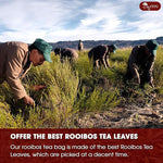 Load image into Gallery viewer, TOG999, Premium 60 Red Rooibos Tea Bags, 100% Natural &amp; Pure from Rooibos Tea Leaves. Loose Leaf Rooibos Herbal Tea. Made with Natural Material Tea Bags. No Sugar, No Caffeine, No Gluten, Vegan.