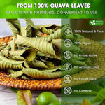 Load image into Gallery viewer, FreshDrinkUS, Premium 50+ Natural Guava Leaves, Whole Dried Leaves, 100% Pure, Natural Guava Loose Leaf Herbal Tea, Non GMO, No Additives, No Caffeine, Vegan