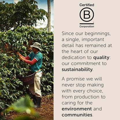 illy Arabica Selections Nicaragua Whole Bean Coffee, 100% Arabica Bean Single Origin Coffee, No Preservatives, 8.8oz (Pack of 1)