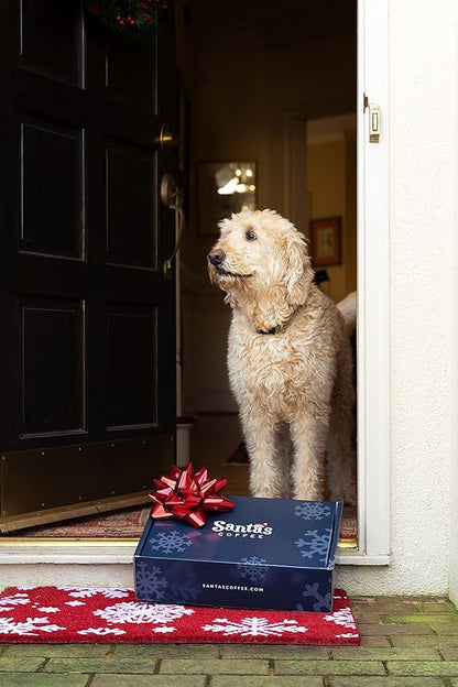 Santa's Coffee Ugly Christmas Sweater Eggnog Blend, Medium Roast - Whole Bean, 16oz Bag, Holiday Seasonal Blend – Christmas Gift for Coffee Lovers