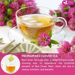 Load image into Gallery viewer, FreshDrinkUS, Premium Red Clover Herbal Tea– 135 Tea Bags – Pure – Naturally Smooth &amp; Mild Flavor – Premium Quality, Eco-Conscious Packaging. Caffeine-Free. Gluten Free. Vegan