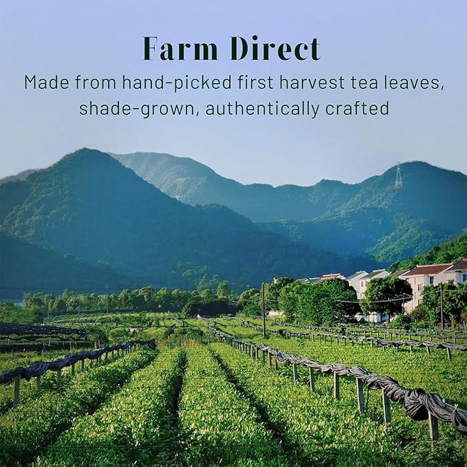 CHAYEAH, Emerald Select Matcha – Organic Ceremonial Grade Matcha Green Tea Powder, Premium First Harvest (1.06 oz Tin)