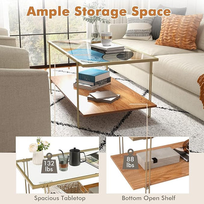 Tangkula Glass Coffee Table, 40In Mid Century 2 Tier Rectangle Coffee Table, Tempered Glass Top & Wood Storage Shelf, Steel Frame, Adjustable Feet, Modern Cocktail Accent Table for Living Room (Gold)