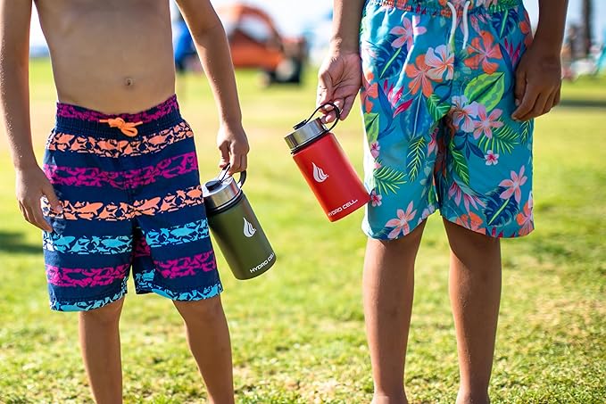 HYDRO CELL Stainless Steel Insulated Water Bottle with Straw - For Cold & Hot Drinks - Metal Vacuum Flask with Screw Cap and Modern Leakproof Sport Thermos for Adults (Mandarin 14oz)