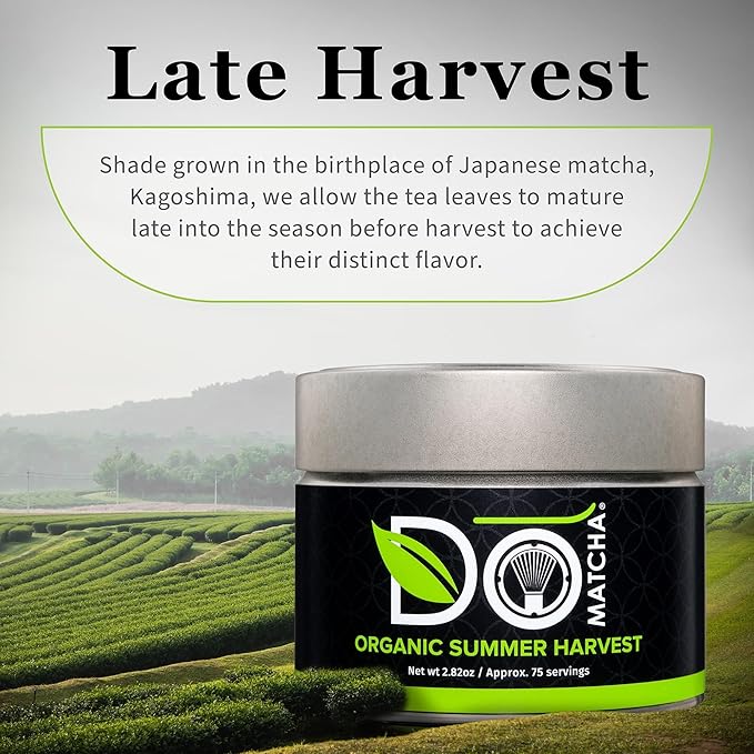 DoMatcha, Organic Summer Harvest Matcha Powder, Authentic Japanese Green Tea, Latte Grade, 2.82 oz