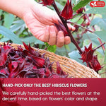 Load image into Gallery viewer, FreshDrinkUS, Premium 10 Hibiscus Flowers Tea Bags, 100% Natural, Pure from Hibiscus Flowers. Loose Flower Herbal Tea. No Sugar, No Caffeine, No Gluten, Vegan.
