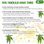 Load image into Gallery viewer, FreshDrinkUS, Premium 60 Mango Leaf Tea Bags, 100% Natural &amp; Pure from Mango Leaves. Loose Leaf Herbal Tea. No Sugar, No Caffeine, No Gluten, Vegan.