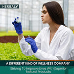 Load image into Gallery viewer, Herbaly Wellness Collection Organic Herbal Ginger Tea, 70 g, 28 Count Bag (Pack of 1)