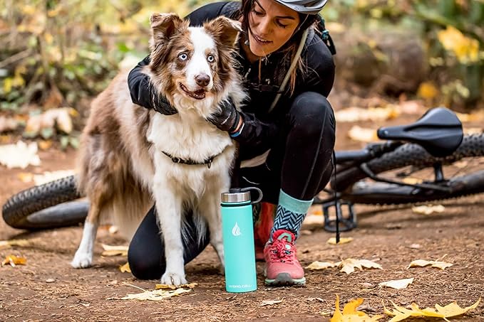 HYDRO CELL Stainless Steel Insulated Water Bottle with Straw - For Cold & Hot Drinks - Metal Vacuum Flask with Screw Cap and Modern Leakproof Sport Thermos for Adults (Teal 24oz)
