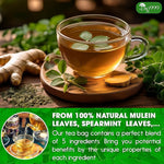 Load image into Gallery viewer, TOG999, Premium 20 Tea bags Super Moringa Herbal Tea, Special Blend of Moringa Leaves, Spearmint Leaves, Ginger, Lemon Peel and Chamomile. No Sugar, No Caffeine, No Gluten, Vegan.