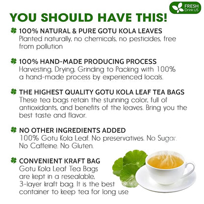 FreshDrinkUS, Premium Gotu Kola Leaf Tea – 40 Tea Bags | Pure Dried Centella Asiatica Leaves | Naturally Caffeine-Free Herbal Tea | Refreshing Aroma & Smooth Taste | Premium Herbal Infusion. Vegan