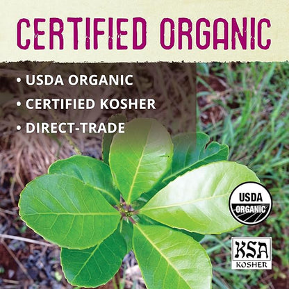 ECOTEAS Holy Mate! Organic Yerba Mate Tea Bags with Tulsi & Mint – Natural Energy, Detox Herbal Tea, Stress Support – Kosher, Non-GMO, Gluten-Free - 100 Bulk Bags, 8.8 oz (Pack of 1)