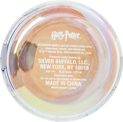 Silver Buffalo Harry Potter Iconic Icons Pattern Wands at the Ready 2 Pack Glass Jar Tumbler with Bamboo Lid and Glass Straw, 16 Ounces