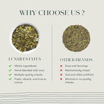 Load image into Gallery viewer, Luxmi Estates Moringa Mint Organic Moringa Mint Green Tea (50 Tea Bags) Caffeine Free Tea Bags For Digestion, Detox, and Stress Relief, With Certified Organic Herbal Tea