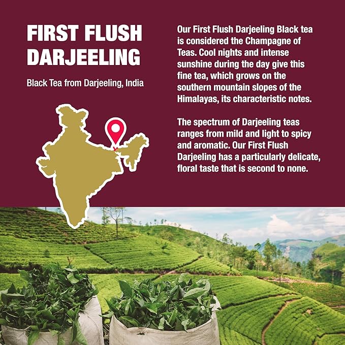 Tiesta Tea - First Flush Darjeeling Black Tea, Loose Leaf, Single Origin Premium Black Tea from India, Pure High-Caffeinated Blend, Makes Hot or Iced & Up to 200 Cups, 16oz Resealable Bulk Pouch