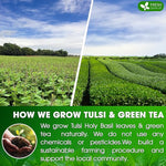 Load image into Gallery viewer, FreshDrinkUS, Premium 30 Tulsi Green Tea Bags, 100% Natural, Blend of Tulsi Holy Basil Leaves, and Green Tea Leaves. Made with Natural Material Tea Bags. No Sugar, Vegan.