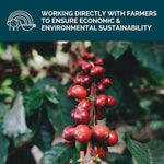 Load image into Gallery viewer, Stone Creek Coffee Dark Roast Ground Coffee – 12 Ounce (Pack of 1) – Smooth and Chocolatey Fresh Roasted Coffee Beans with Rich and Fruity Tasting Notes, 3 Volcanoes Dark Guatemala