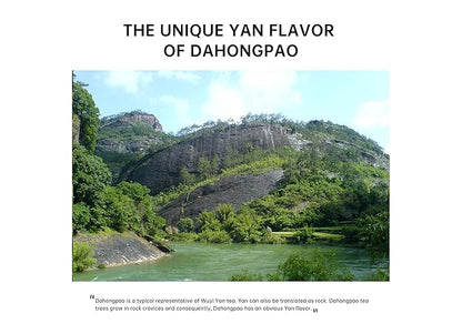 iTeaworld Da Hong Pao - Oolong Loose Leaf - Wuyi Rock Tea, Oolong Tea Loose Leaf Scent Whole Loose leaves for Daily Use, with 20 Eco-Conscious Tea Bags （3.5oz/100g)