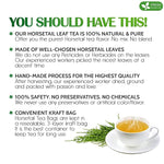 Load image into Gallery viewer, FreshDrinkUS, Premium 30 Horsetail Leaf Tea Bags, 100% Natural &amp; Pure from Horsetail Loose Leaves Herbal Tea. Made with Natural Material Tea Bags. No Sugar, No Caffeine, No Gluten, Vegan.