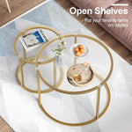 Load image into Gallery viewer, aboxoo Nesting Coffee Table Set of 2, Small Round Glass Nesting Tables for Living Room Bedroom, Accent Tea Table with Gold Metal Frame Modern Industrial Simple