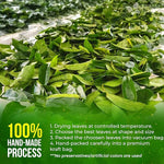 Load image into Gallery viewer, FreshDrinkUS, Premium 30+ Soursop Graviola Dried Leaves, Natural Whole Soursop Leaves, Wildcrafted, Hoja Guanabana, Loose Leaf Herbal Tea, No Gluten, Vegan