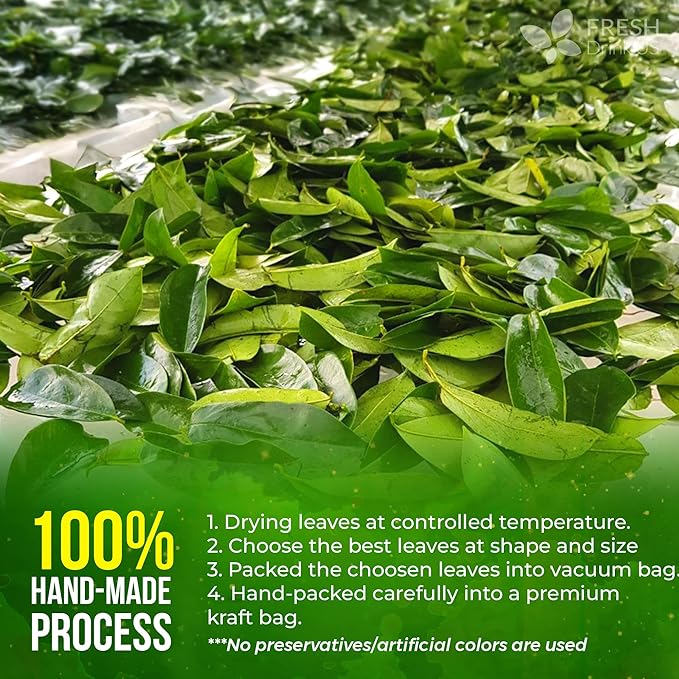 FreshDrinkUS, Premium 30+ Soursop Graviola Dried Leaves, Natural Whole Soursop Leaves, Wildcrafted, Hoja Guanabana, Loose Leaf Herbal Tea, No Gluten, Vegan