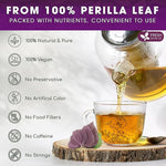 Load image into Gallery viewer, FreshDrinkUS, Premium Perilla Leaf Tea – 75 Tea Bags | 100% Pure Perilla Leaves | Caffeine-Free, Non-GMO, Natural Packaging | Herbal Tea Bags for Daily Enjoyment. Gluten-Free. Sugar-Free. Vegan