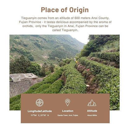 iTeaworld Tieguanyin-Green Oolong tea loose leaf - Natural Orchid Fragrance Authentic Fujian Anxi Tieguanyin 100g - Whole Tea leaves Oolong Tea for Health with 20 Empty Tea Bags, 3.5oz