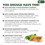 Load image into Gallery viewer, FreshDrinkUS, Premium 40 Soursop Turmeric Tea Bags, 100% Natural, Blend of Soursop Leaves, and Turmeric Root. Made with Natural Material Tea Bags. No Sugar, Vegan.