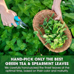 Load image into Gallery viewer, TOG999, Premium Moroccan Mint Green Tea | 30 Tea bags | Traditional Green Tea with Spearmint – Refreshing Flavor, Premium Quality Herbal Blend. Gluten-Free. Vegan