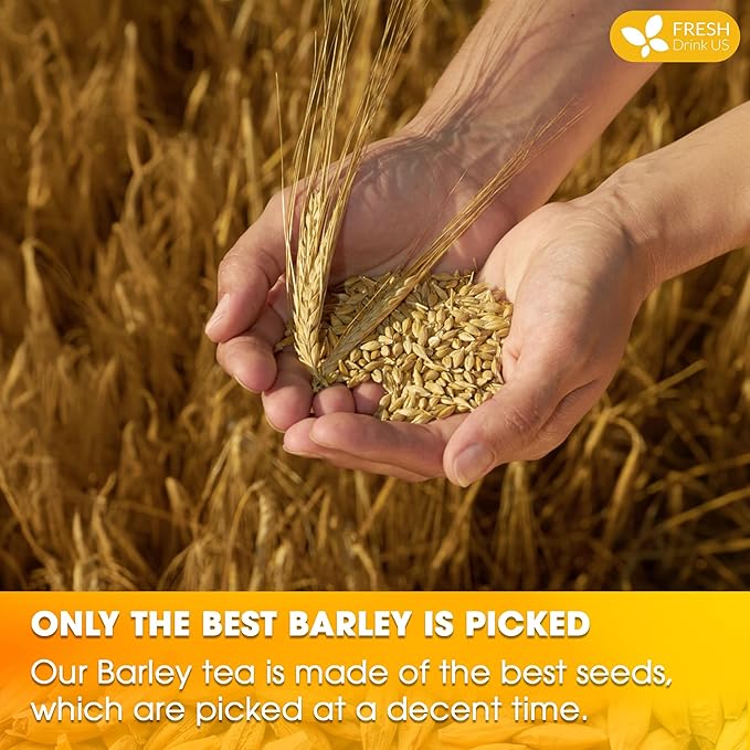 FreshDrinkUS, Premium 50 Barley Tea Bags, 100% Natural & Pure from Barley. Herbal Tea. Made with Natural Material Tea Bags. No Sugar, No Caffeine, No Gluten, Vegan.