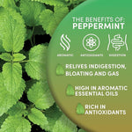 Load image into Gallery viewer, Worldwide Botanicals Organic Peppermint Loose Leaf Tea, 1 lb - Pacific Northwest Organic Cultivation, Highly Aromatic Digestive Tea, Antioxidant, Caffeine Free, 16 ounce