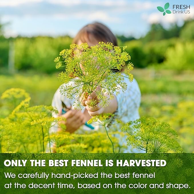 FreshDrinkUS, Premium 135 Fennel Tea Bags, 100% Natural & Pure from Fennel Seeds. Made with Natural Material Tea Bags. No Sugar, No Caffeine, No Gluten, Vegan.
