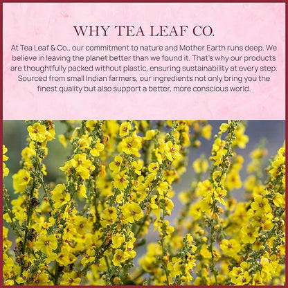 Tealeaf & Co. Mullein Leaf Tea Blended with Fresh Herbs - Pure Herbal Tea Bags with Mullein Leaf Extract - Flavored Herbal Blend - Low Caffeine - Gluten Free - 50 Teabags