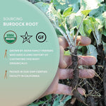 Load image into Gallery viewer, Worldwide Botanicals Organic Burdock Root – 1 lb - 100% Arctium lappa - Raíz de Bardana – Cut &amp; Sift, Excellent Detox and Digestion Herb tea, Used to make Root Beer, 16 ounces