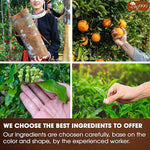 Load image into Gallery viewer, 60 Hot Special Cinnamon Tea Bags – Special Blend of Cinnamon, Black Tea, Orange Peel and Cloves, 100% Natural Ingredients, Hand-made Blend Herbal Tea. Eco-conscious Tea Bags. No Sugar, No Caffeine, No Gluten, Vegan.