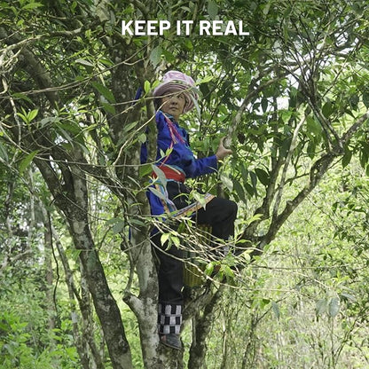 iTeaworld Oolong Tea Set 4 Flavors, Oolong Tea Sampler Loose Leaf, Flowery Aroma, No Sweetener, High to Low Caffeine, Up to 112 Cups, Whole Leaf, 2.1OZ