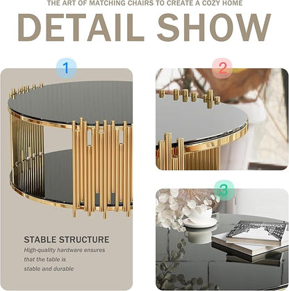 Round Coffee Table with Gold Stainless Steel Base, 2-Tier Black Glass Coffee Table Center Table, Modern Coffee Table Circular Living Room Table Cocktail Tables, Circle Center Tables