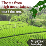 Load image into Gallery viewer, Japanese Organic Black Tea Loose Leaf, 100% made in Japan, 100g tea leaves【YAMASAN】