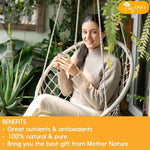 Load image into Gallery viewer, TOG999, 6oz/100 cups Anti-Inflammaheb Loose Leaf Tea | 100% Natural Blend of Ginger, Turmeric, Peppermint, Black Pepper &amp; Cinnamon | Caffeine-Free, Sugar-Free, Gluten-Free, Vegan, Handcrafted