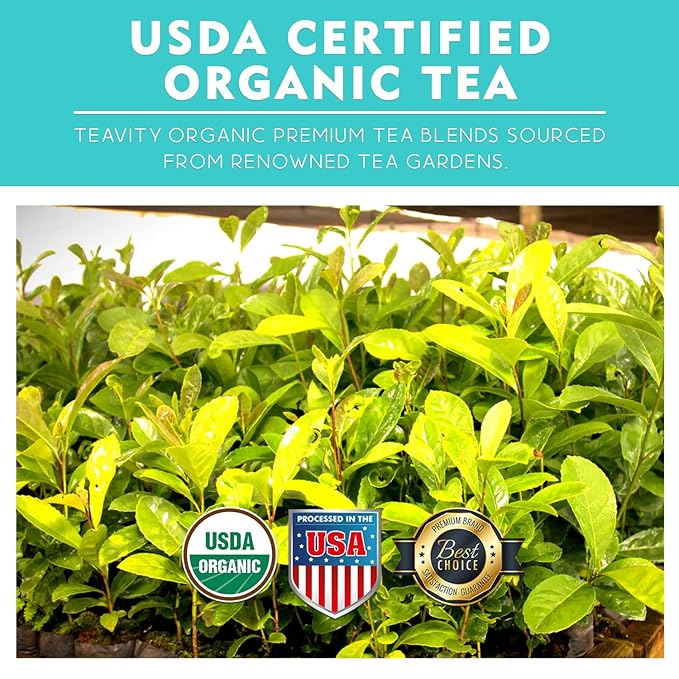 Organic Yerba Mate Refreshing Mint Tea Pods - Naturally Caffeinated Yerba Mate Tea Pod for Keurig Brewers by Teavity (24 Tea Pods)