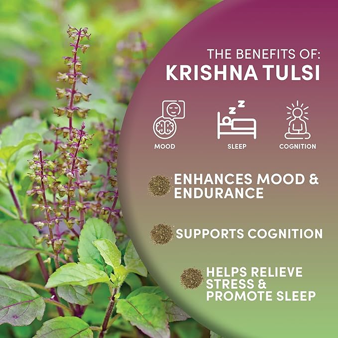 Worldwide Botanicals Organic Holy Basil Tea, 8oz - Tulsi Krishna - Loose Leaf Premium Herbal Tea, 100% Pure Tulsi Holy Basil, Fair Trade, Adaptogenic, Kosher