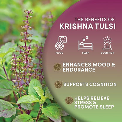 Worldwide Botanicals Organic Holy Basil Tea, 8oz - Tulsi Krishna - Loose Leaf Premium Herbal Tea, 100% Pure Tulsi Holy Basil, Fair Trade, Adaptogenic, Kosher