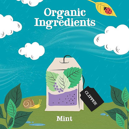 Clipper Tea Mint Herbal Teabags – Caffeine Free, USDA Organic, Great Hot or Iced – Refreshing, Natural, Fair & Delicious – 200 Tea Bags