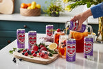 Load image into Gallery viewer, Rubro Rooibos Tea 6-Pack, Berry Iced Tea, Naturally Caffeine-Free, South African Iced Tea, Still, 6 x 300ml Cans