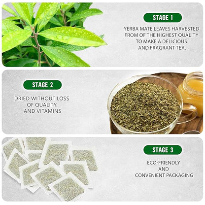 Yerba Mate Tea - Green Cut & Sifted - Unsmoked Energy Boost - 300 Tea Bags - Packed with Nutrients - Your Perfect Coffee Replacement