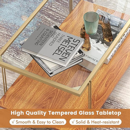 Tangkula Glass Coffee Table, 40In Mid Century 2 Tier Rectangle Coffee Table, Tempered Glass Top & Wood Storage Shelf, Steel Frame, Adjustable Feet, Modern Cocktail Accent Table for Living Room (Gold)