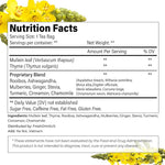 Load image into Gallery viewer, FreshDrinkUS, StrongerLungs 75 Tea Bags - Mullein Leaf, Ginseng, Elderberry, Ginger &amp; Thyme - Supports Lung Cleanse, Congestion Relief &amp; Mucus Detox - Caffeine-Free &amp; All-Natural