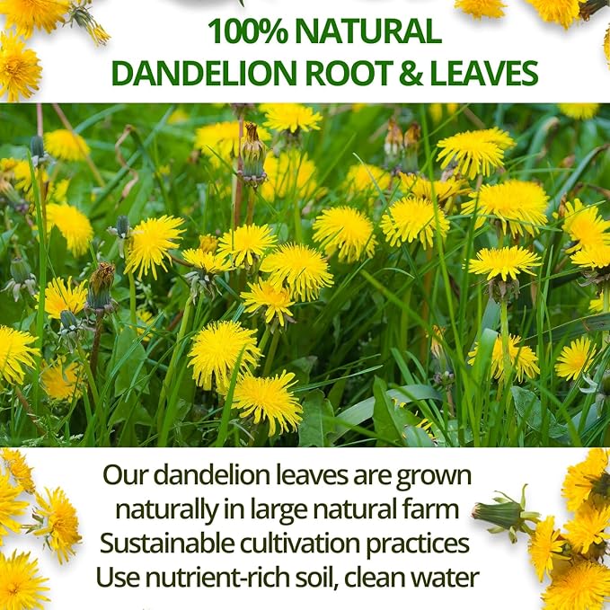 VIDA FARM 100 Dandelion Tea Bags - 100% Natural Dandelion Leaf & Root, Sugar Free, Caffeine Free, Non-GMO - Premium Dandelion Root Herbal Tea, Smooth Taste